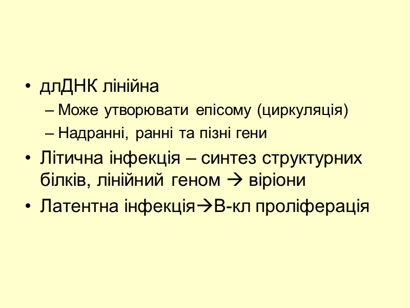 длДНК лінійна Може утворювати епісому (циркуляція) Надранні, ранні та пізні гени Літична інфекція –